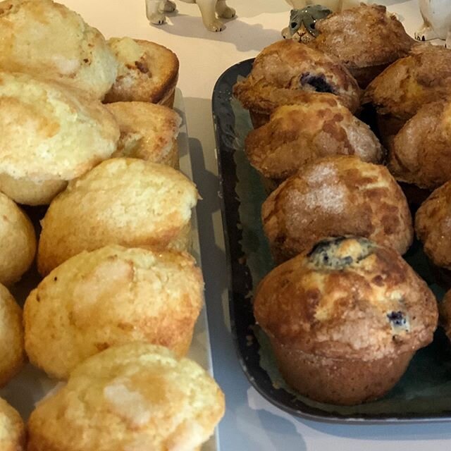 Lemon Scented Olive Oil & Bluuuuueberry Muffins ....#freshbaked